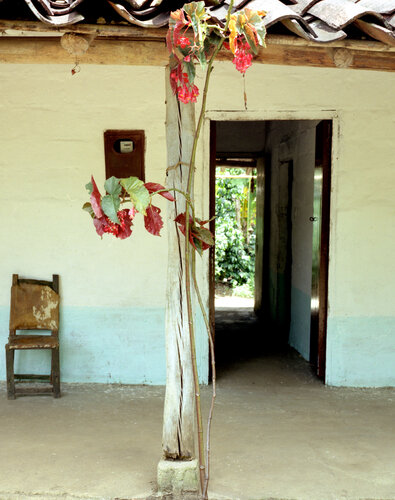 country house van Francesco Majo, Fotografie te koop op Singulart
