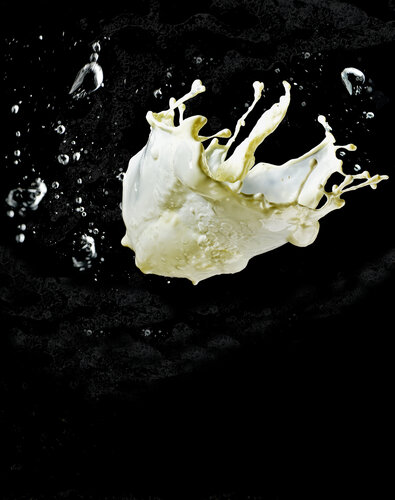 Milky Jellyfish di Francesco Majo, Fotografia in vendita su Singulart