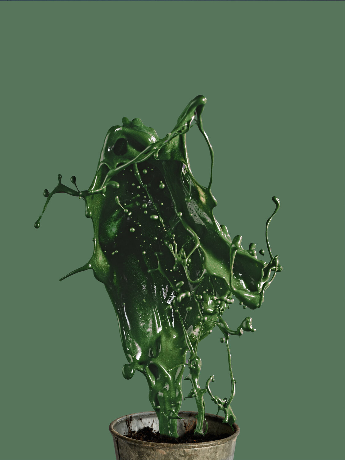 Mint Plant Francesco Majo