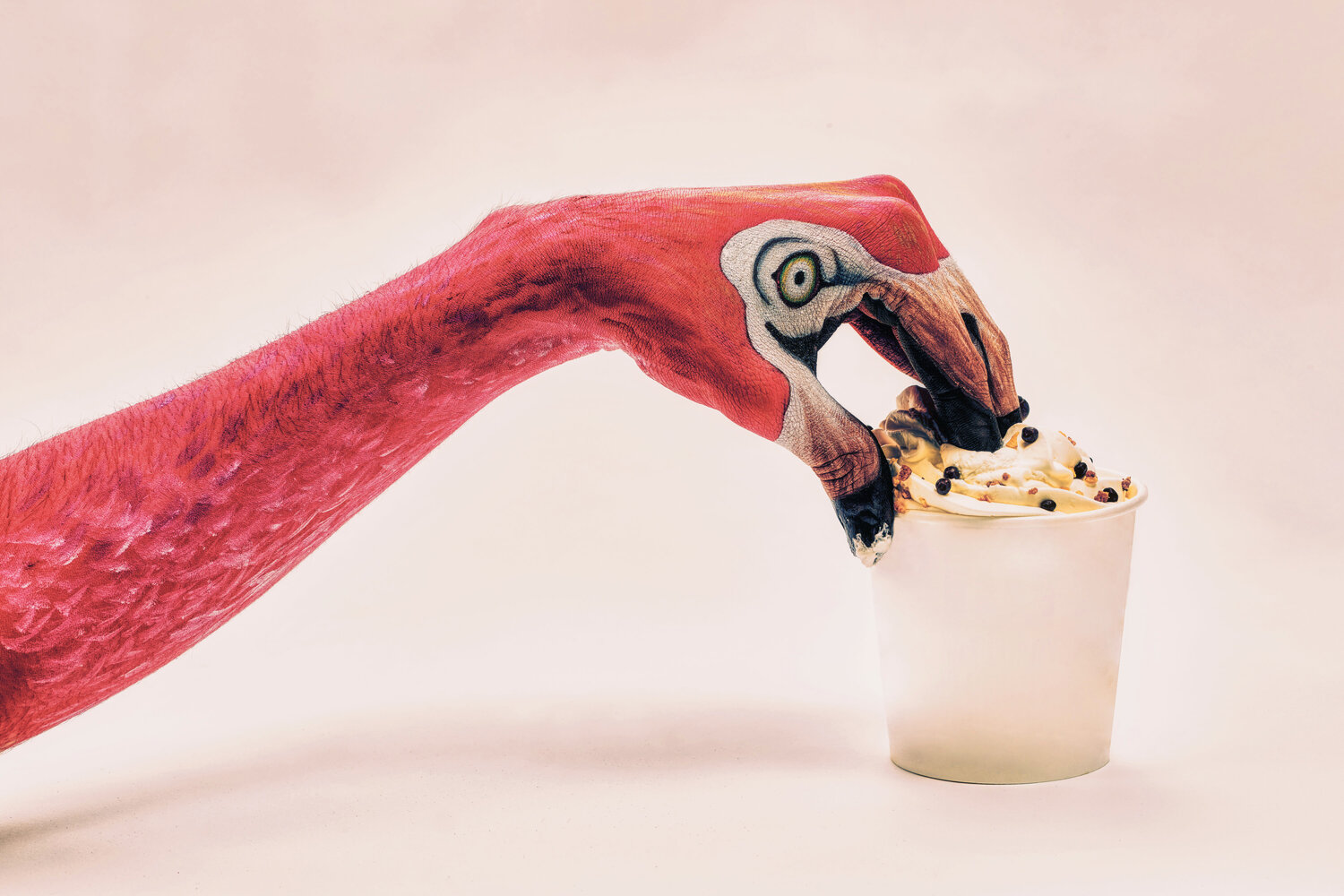 Flamingo #02 Francesco Majo