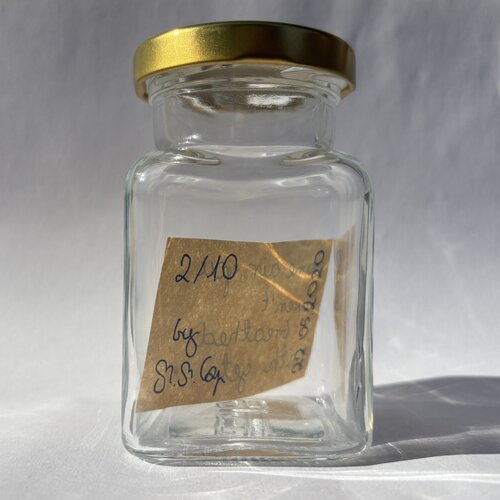 Unreal Fortune, 2020-ongoing (Jar 2/10) von Michalina Marta Cap, Skulptur kaufen auf Singulart