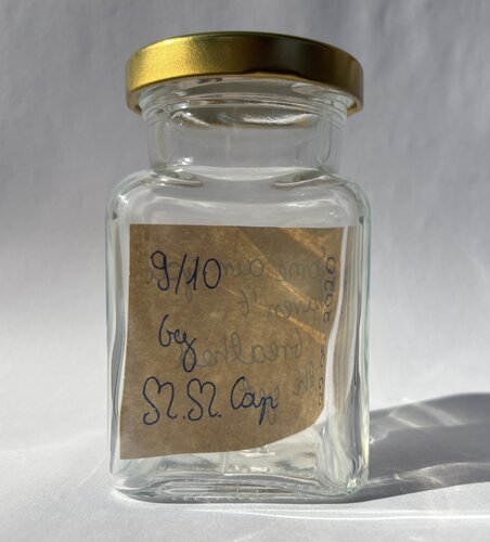 Unreal Fortune, 2020-ongoing (Jar 9/10) von Michalina Marta Cap, Skulptur kaufen auf Singulart