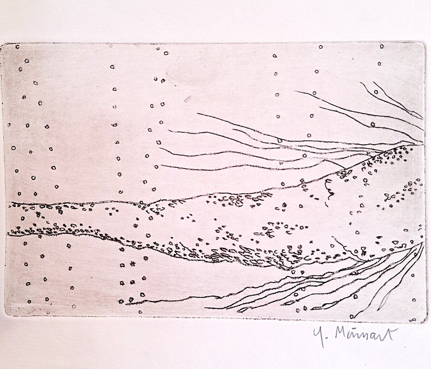 Poisson yves minssart