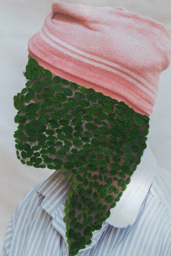 moringa van saurabh narang, Fotografie te koop op Singulart