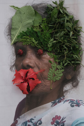 hibiscus sabdariffa van saurabh narang, Fotografie te koop op Singulart
