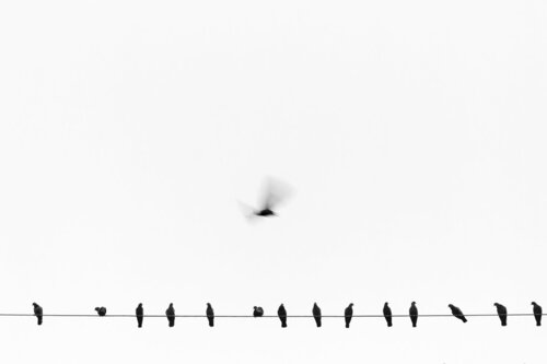 rebellion saurabh narang