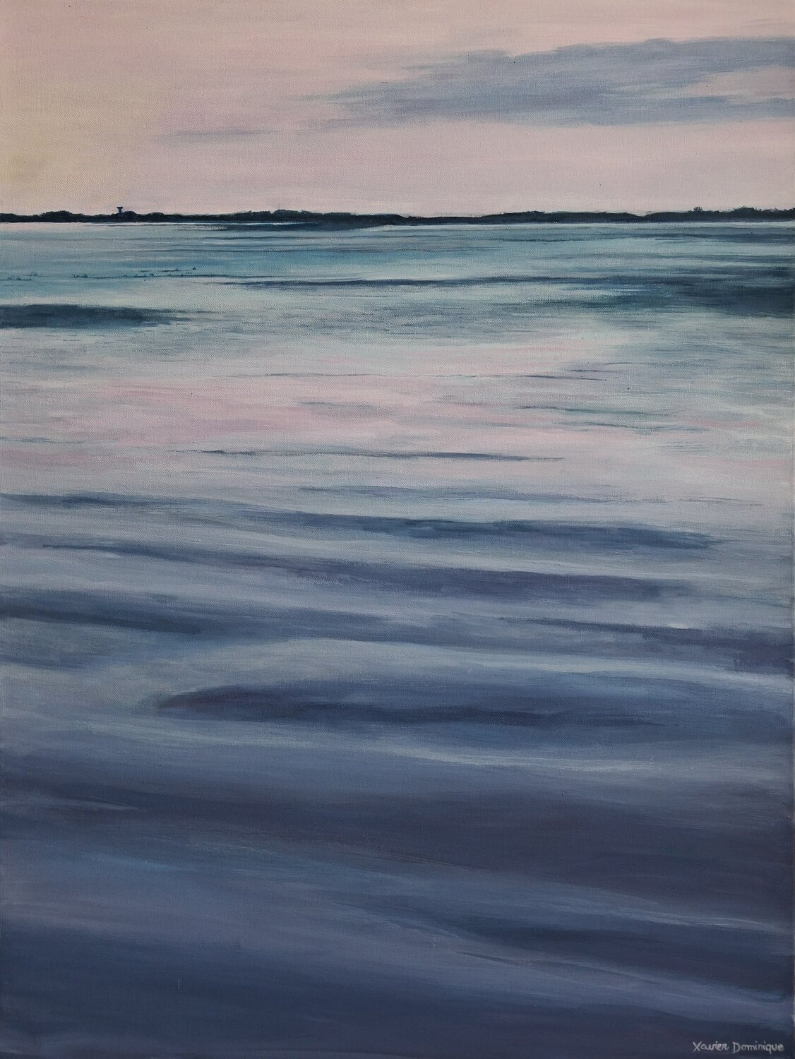 Aube marine Xavier Bertrand