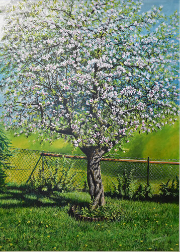stara jabłoń de Aleksander Stolicki, Pintura a la venta en Singulart