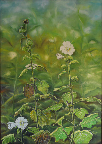 kwiaty de Aleksander Stolicki, Pintura a la venta en Singulart