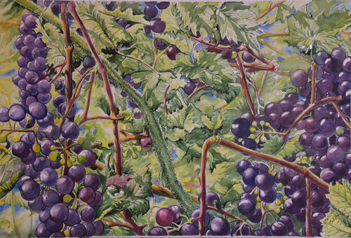 winogrona de Aleksander Stolicki, Pintura a la venta en Singulart
