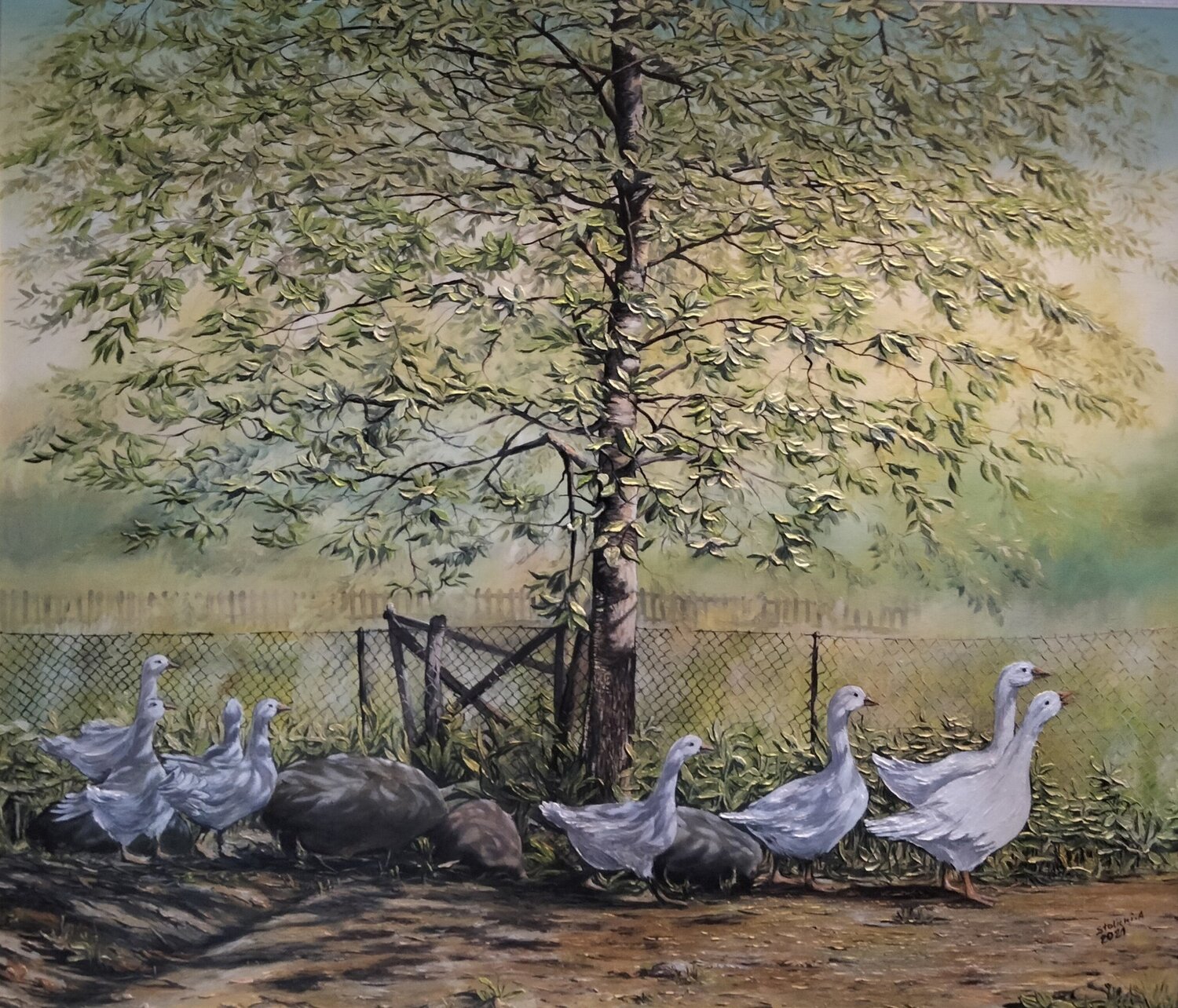 GĘSI Aleksander Stolicki