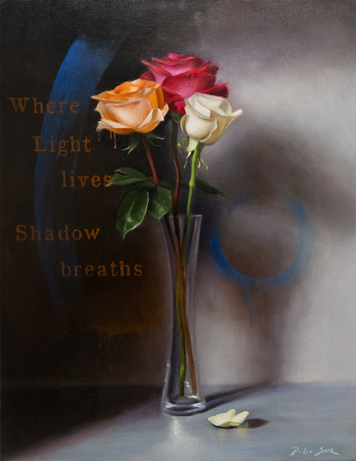 Where Light Lives Shadow Breathes Pedro Sanz