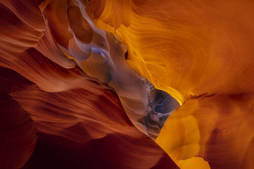 Warmth by Alexia Rousse, 사진 for Sale on Singulart