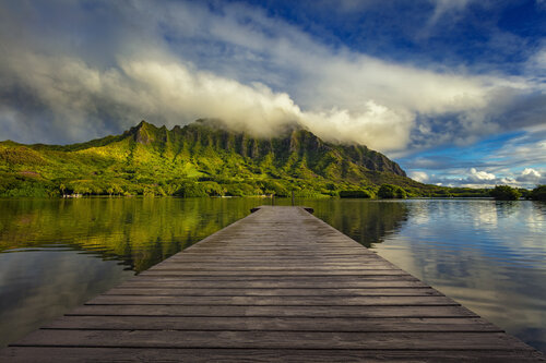 Daydream by Alexia Rousse, 사진 for Sale on Singulart