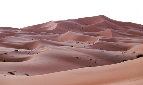 The Sahara Desert di Kana Gray, Fotografia in vendita su Singulart