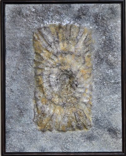 Enigma in Stone: Ammonites di Elena Shcherbina, Altri media in vendita su Singulart