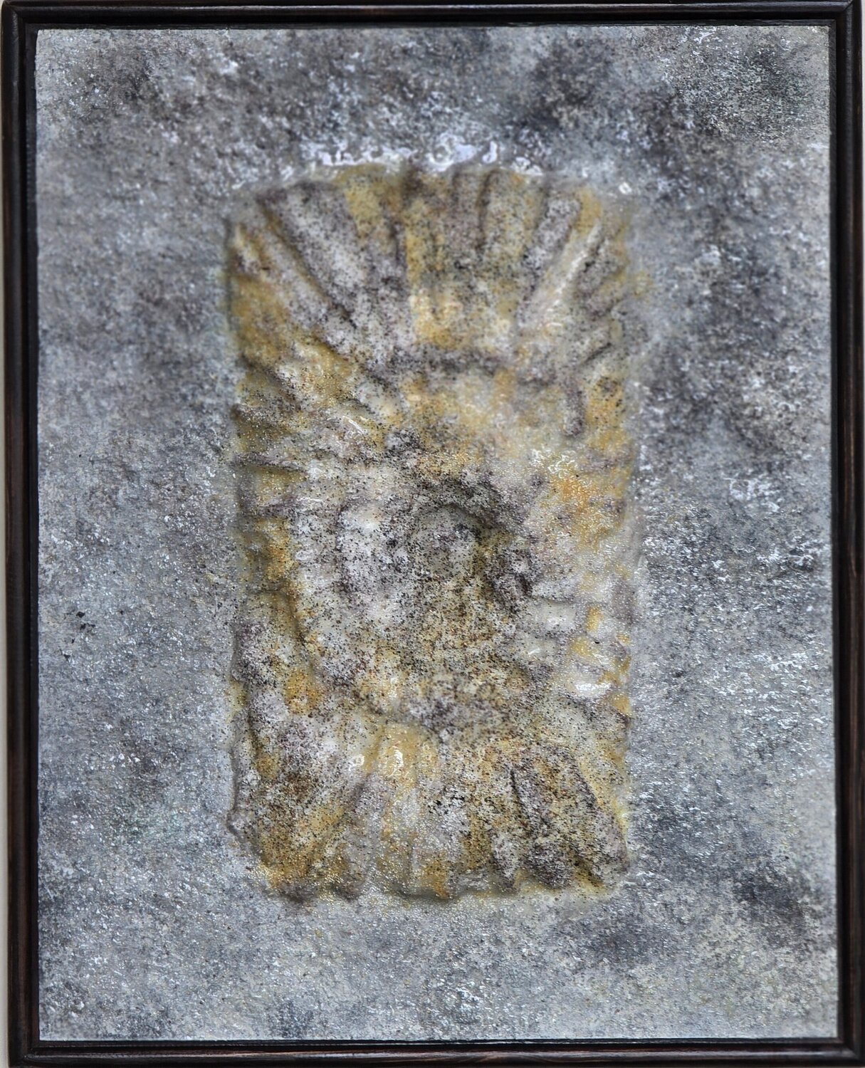 Enigma in Stone: Ammonites Elena Shcherbina