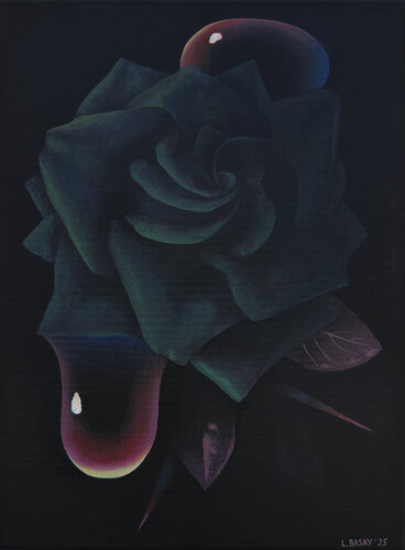 Black on Black de Liza Basay, Pintura a la venta en Singulart