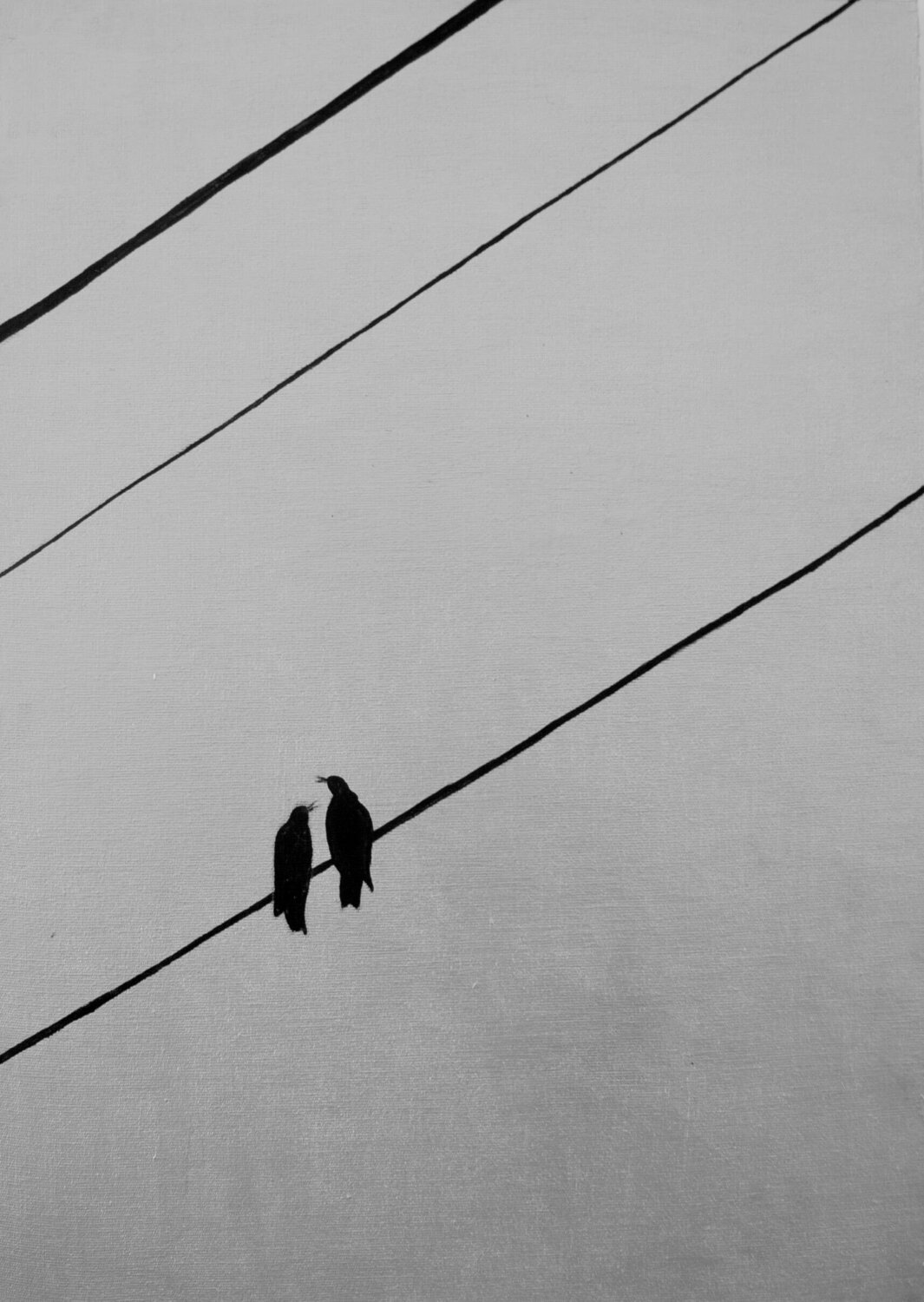 Birds and wires 2 Ana Hercigonja Gutschy