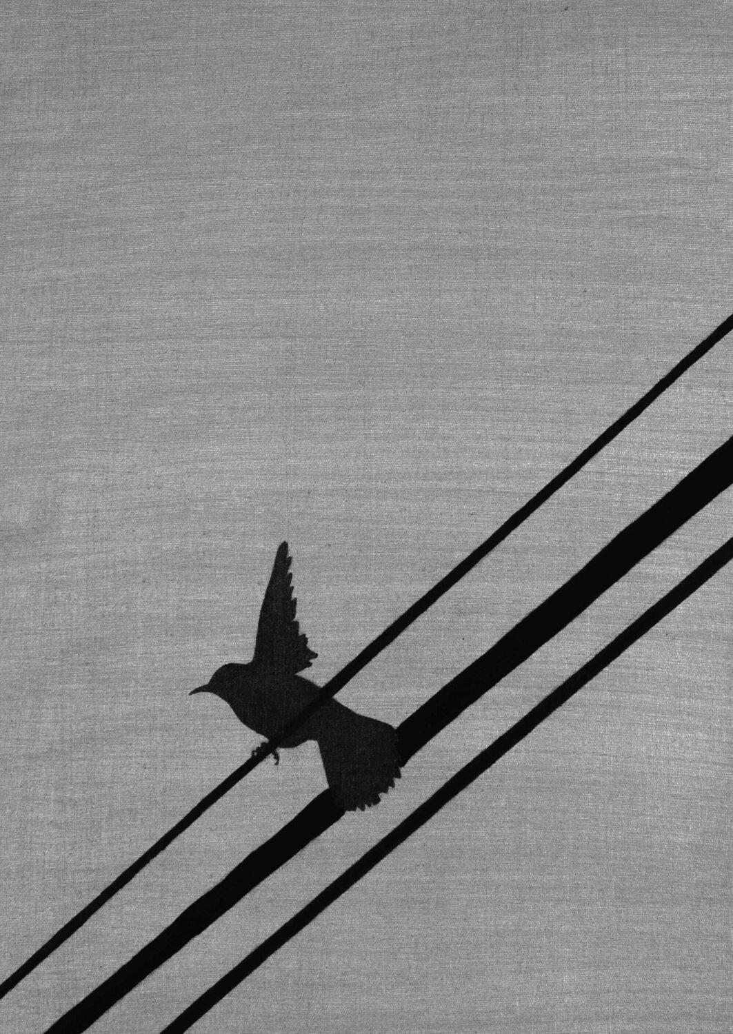 Birds and wires 6 Ana Hercigonja Gutschy