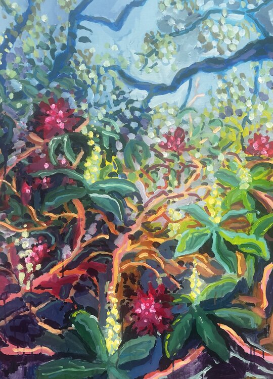 Rhoddedendrons in Spring Alice Gavin Atashkar
