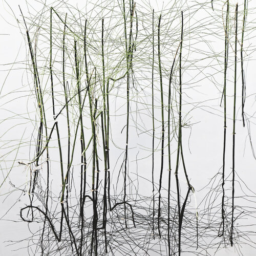 Vertical Poem by Christian Vermeiren, 사진 for Sale on Singulart