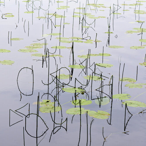 Letters in Water by Christian Vermeiren, 사진 for Sale on Singulart