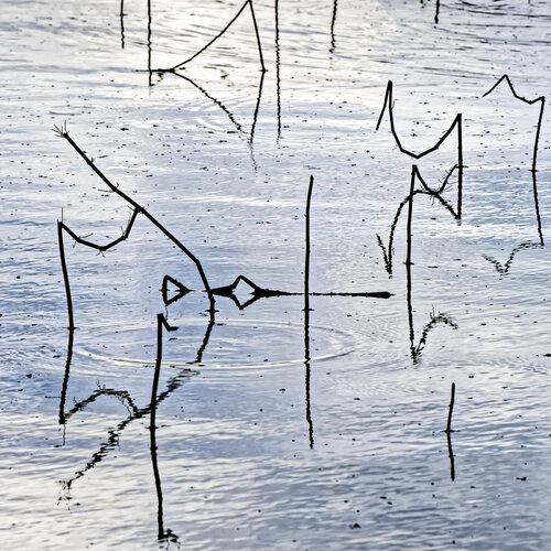 Water Alphabet by Christian Vermeiren, 사진 for Sale on Singulart
