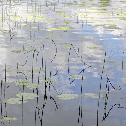 Floating Characters by Christian Vermeiren, 사진 for Sale on Singulart