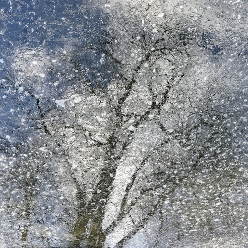 Frozen Mandala de Christian Vermeiren, Fotografía a la venta en Singulart