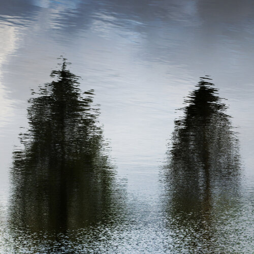 Two Quiet Ones van Christian Vermeiren, Fotografie te koop op Singulart