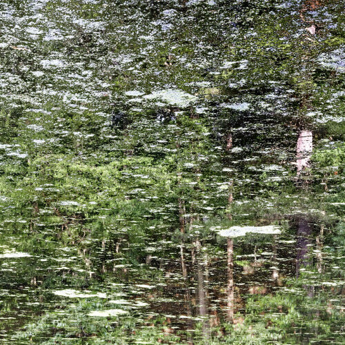 Green Tapestry Christian Vermeiren