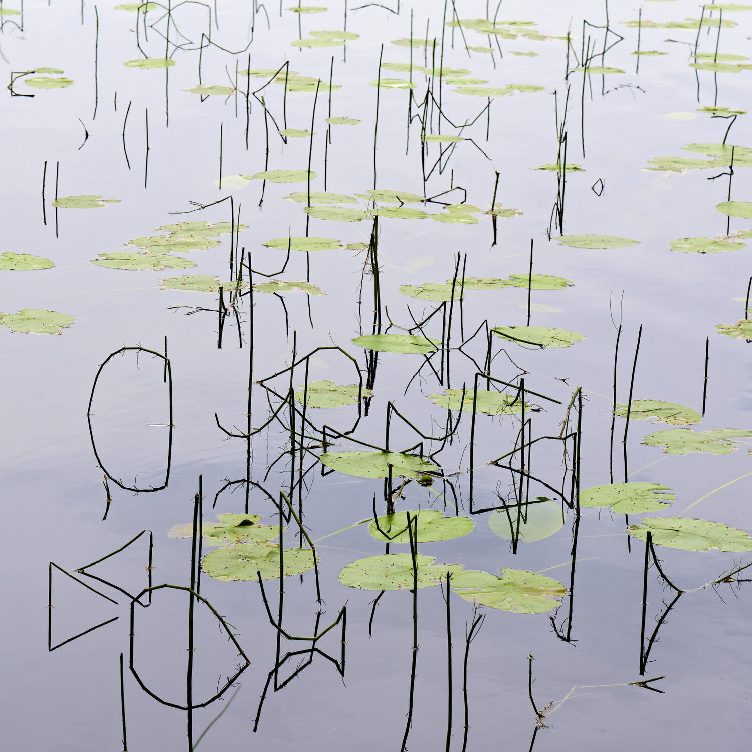 Letters in Water Christian Vermeiren