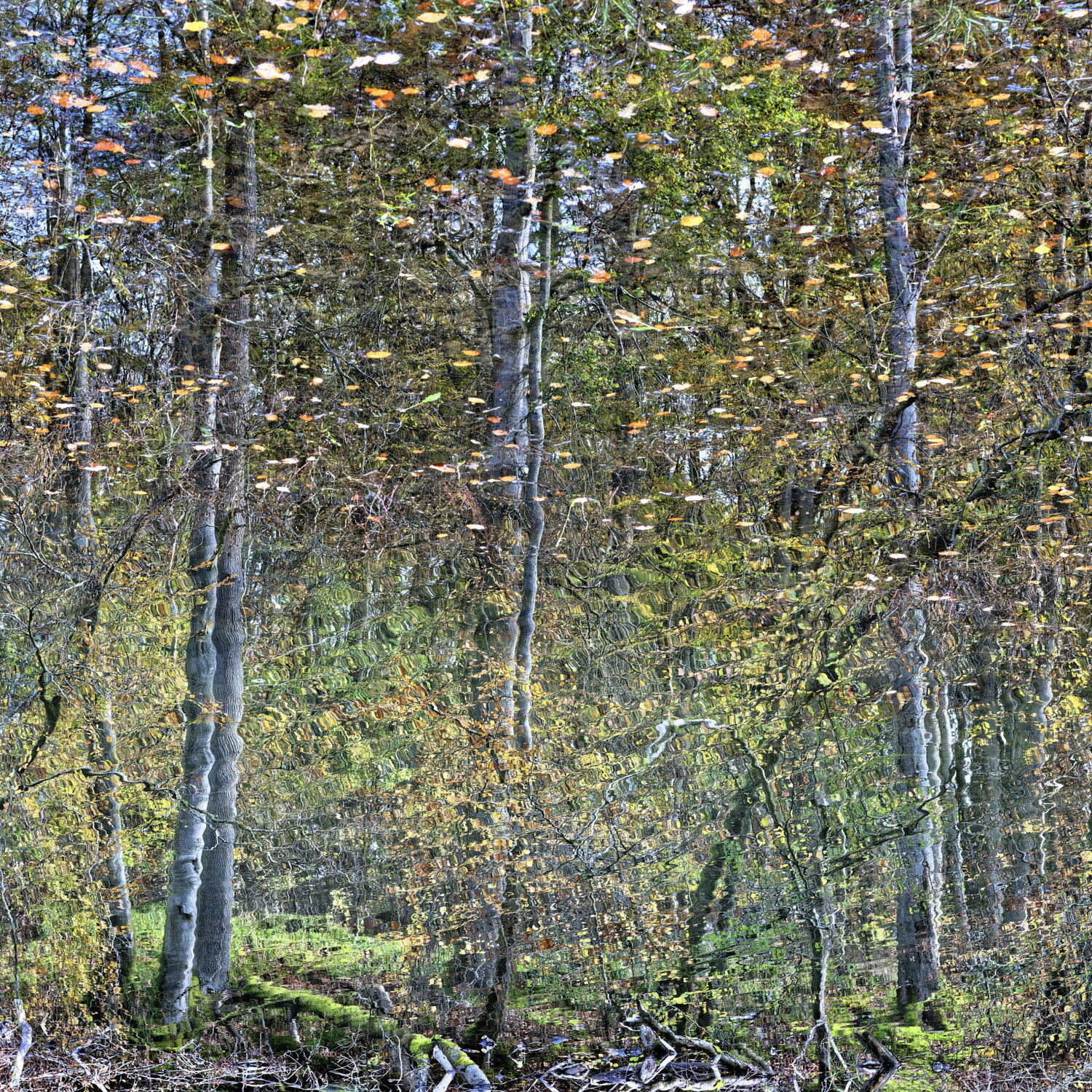Autumn Reflected Christian Vermeiren