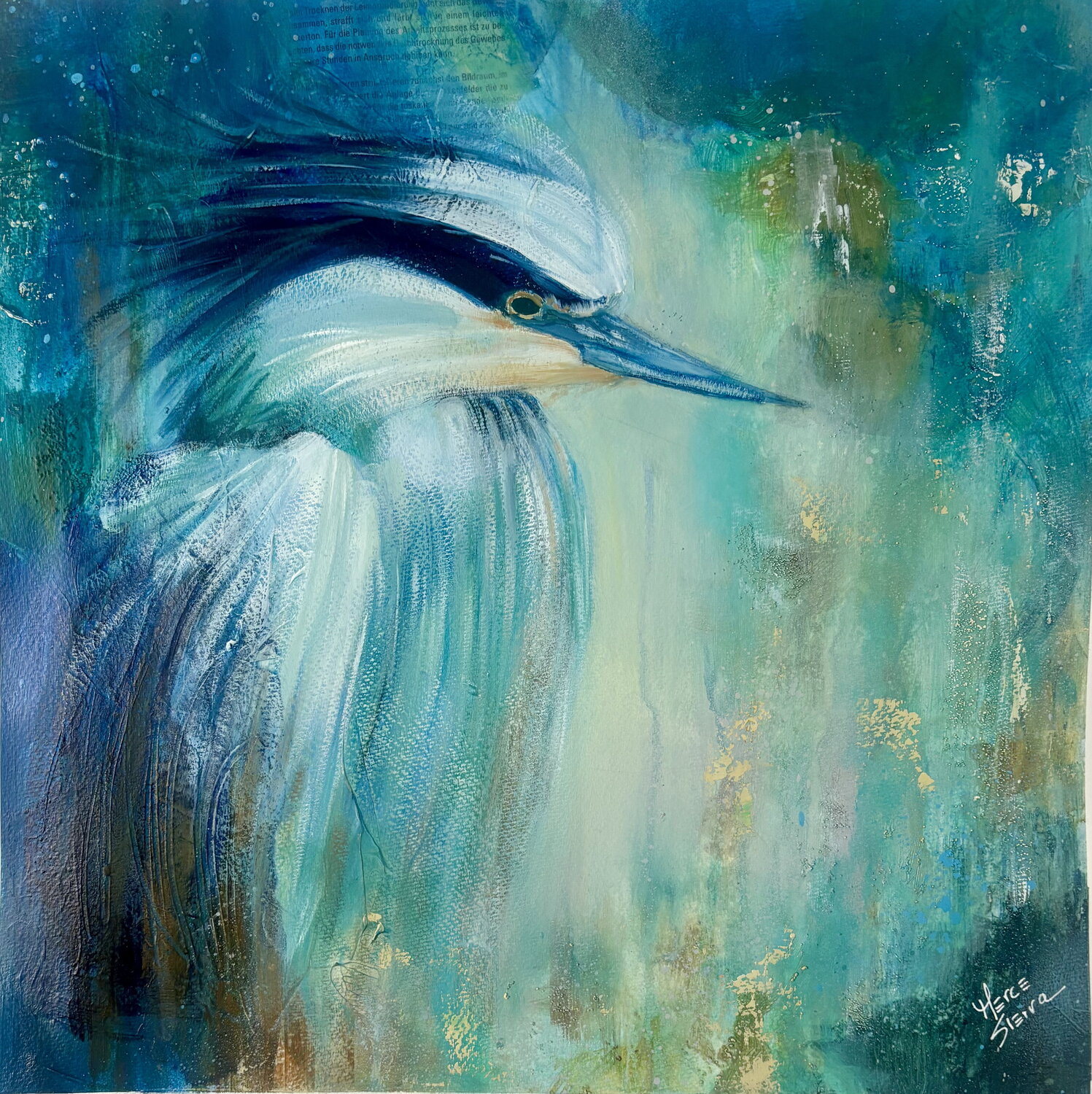 Ave Pescador Merce Sierra