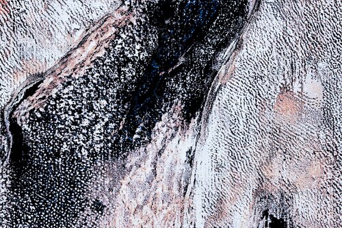 Wild thing by Stefan Görres, Work on Paper for Sale on Singulart