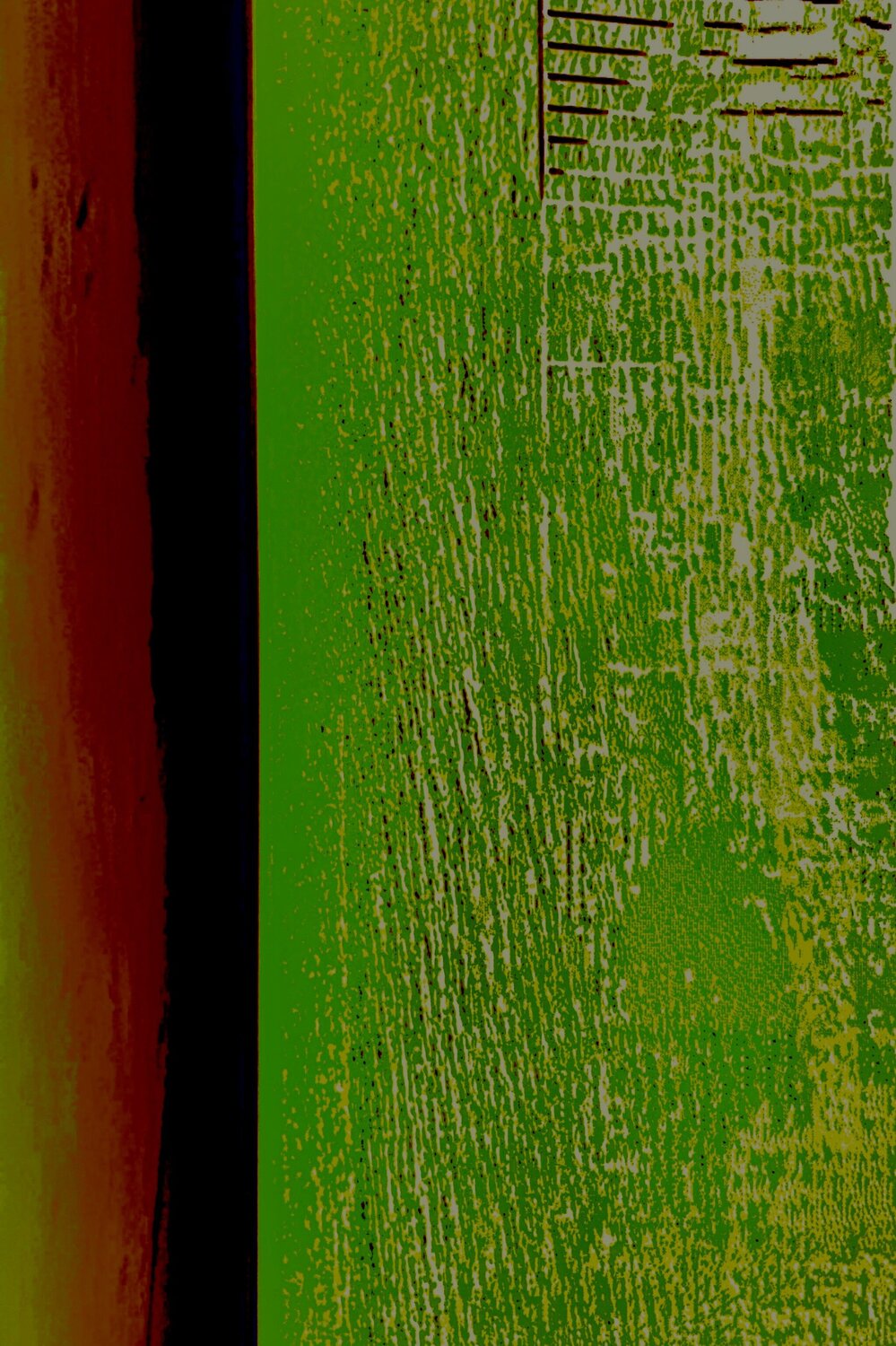 More than green Stefan Görres