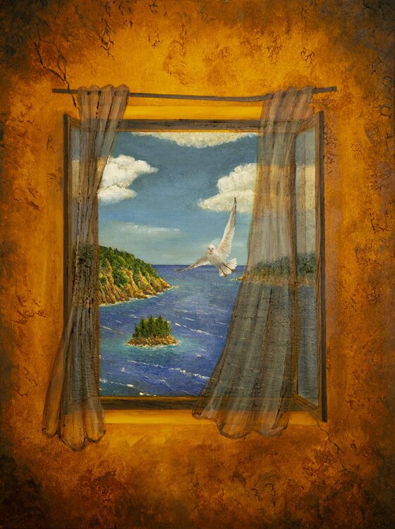 Beyond the Window Gergely Fabian