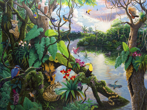 Armonía en la selva ( Obra ganador del 12 Festival internacional de Arte Naif en Polonia Katowice Galería Szyb Wilson, 2019) di José Luis Toaquiza Chugchilan, Pittura in vendita su Singulart