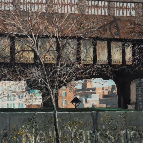 New York's Next Patty Neal