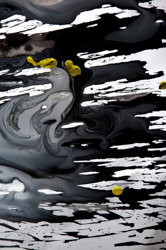 Believe It Or Not - III van Alia Kyle Perry, Fotografie te koop op Singulart