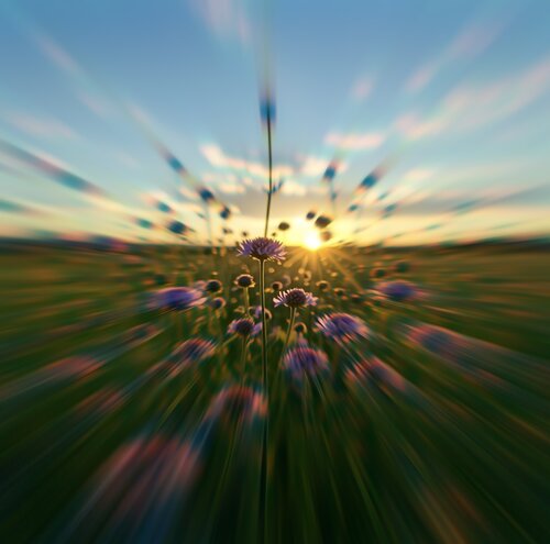 Valerian Sunrise by Kalib Bryan, 사진 for Sale on Singulart