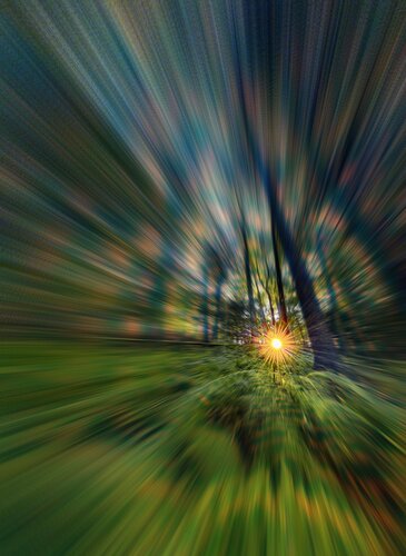 Into the Emerald Forest by Kalib Bryan, Photography for Sale on Singulart