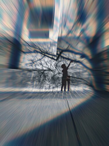 Tree by Kalib Bryan, Photography for Sale on Singulart