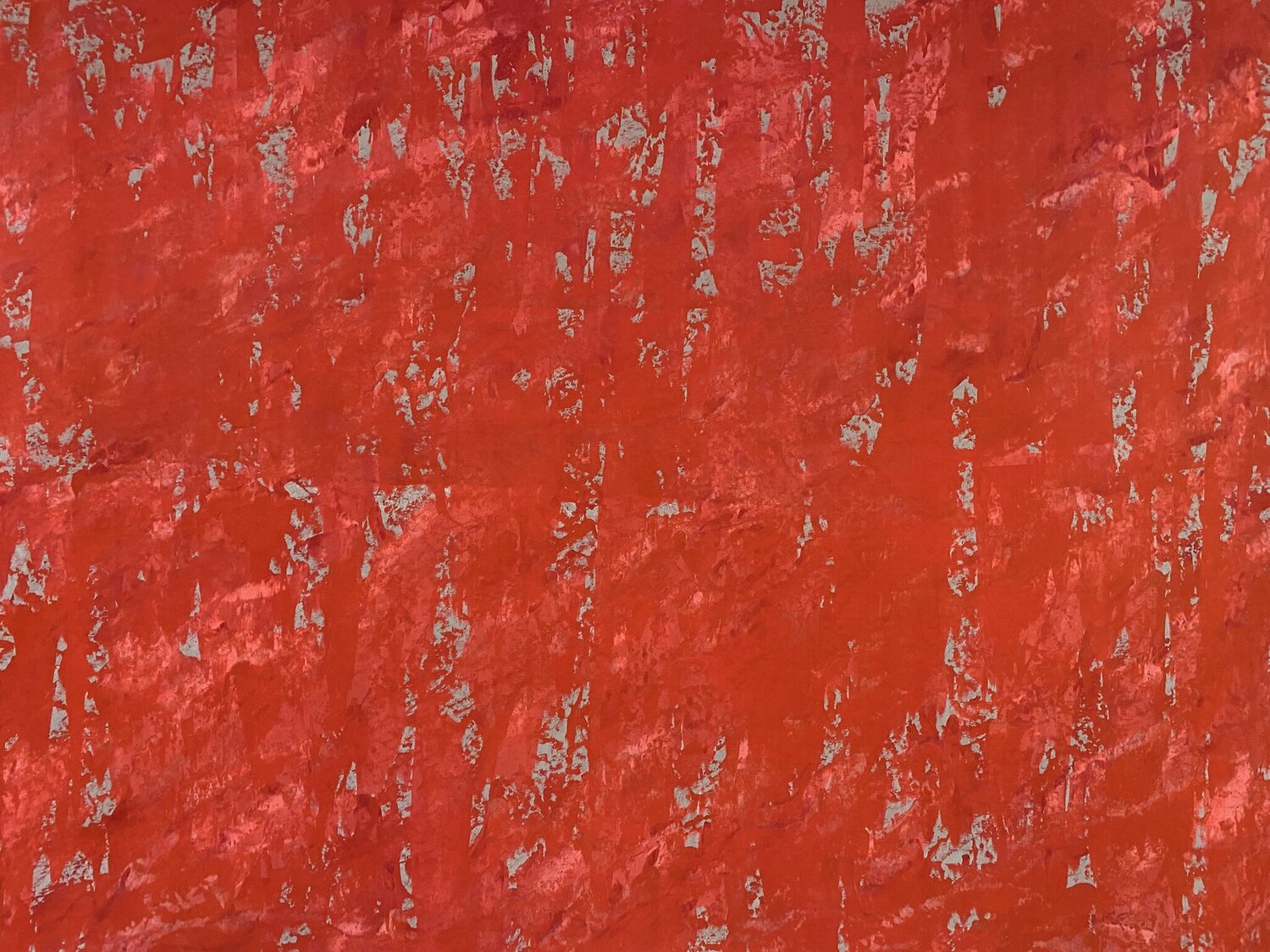 Red 707 Reinhard Sommer