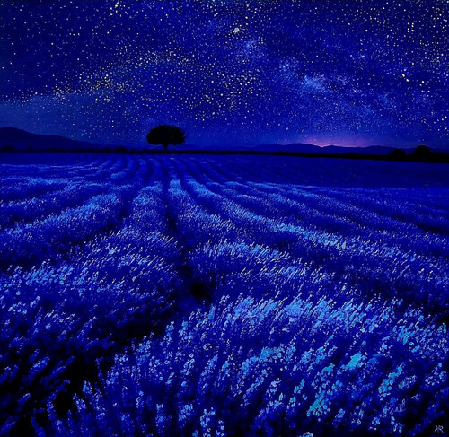 NUIT COSMIQUE INFINIE de Marija Ruisi, Fotografía a la venta en Singulart
