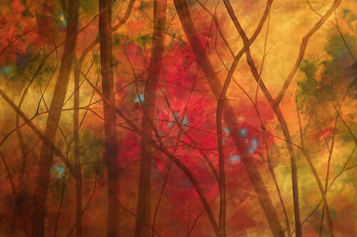 Along the River IV di Faith Patterson, Pittura in vendita su Singulart