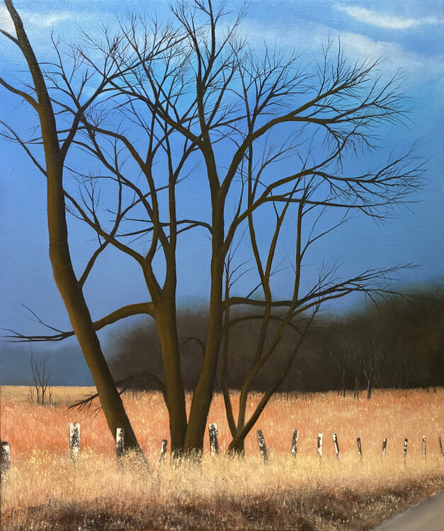 Silent Chord Faith Patterson