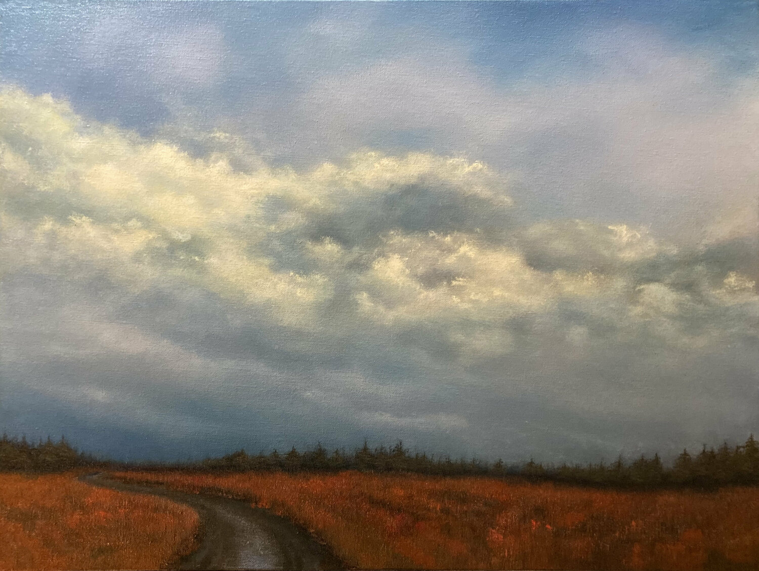 November Sky Faith Patterson