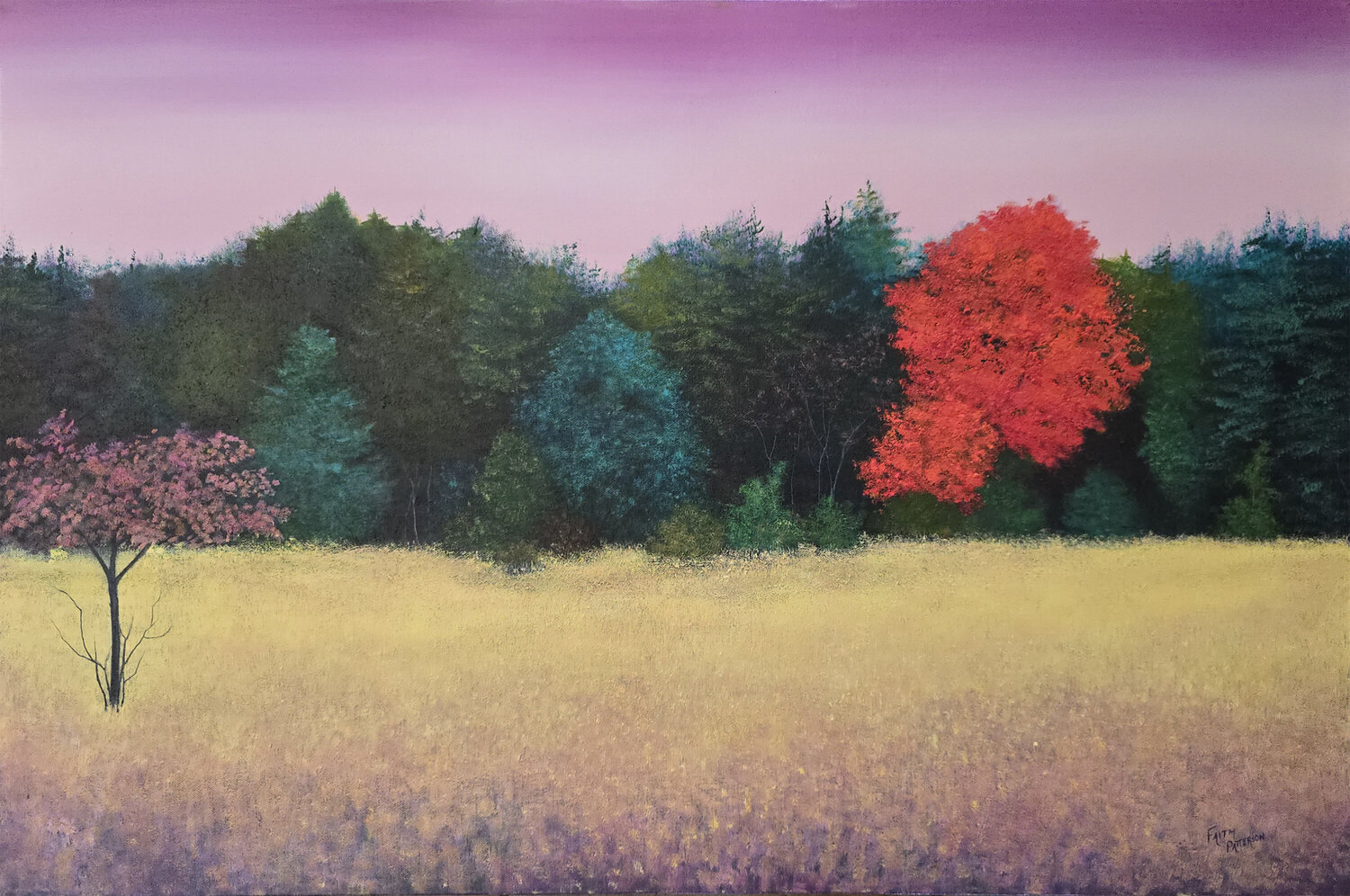 Fading Light Faith Patterson